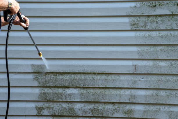 Best Yard Waste Removal  in Ladue, MO